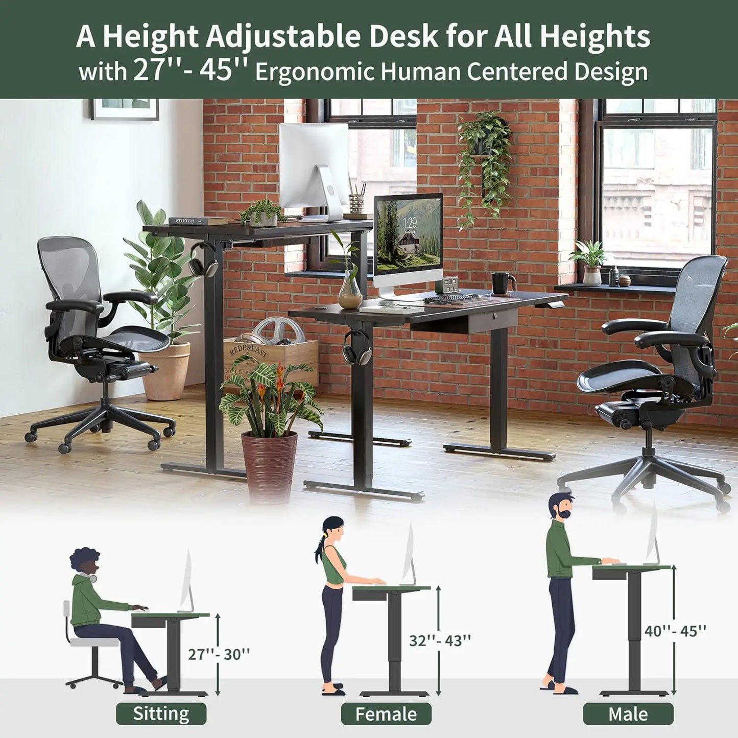 Adjustable Height Electric Stand up Desk with Storage, 55x 24 Inches